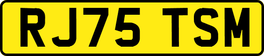 RJ75TSM