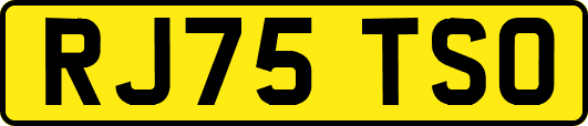 RJ75TSO