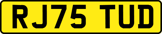 RJ75TUD