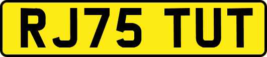 RJ75TUT