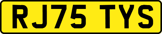 RJ75TYS