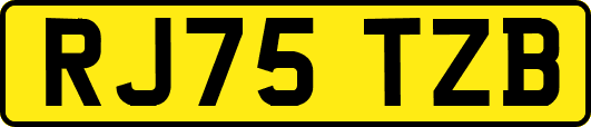 RJ75TZB