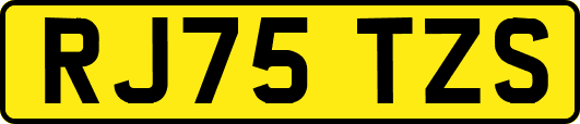 RJ75TZS