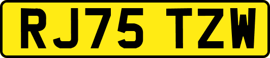 RJ75TZW