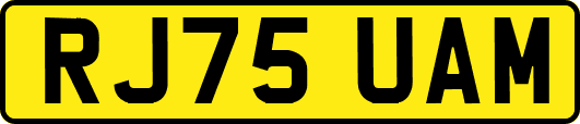 RJ75UAM