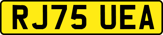 RJ75UEA