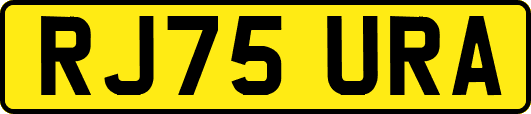 RJ75URA