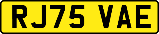 RJ75VAE