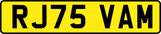 RJ75VAM