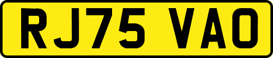 RJ75VAO