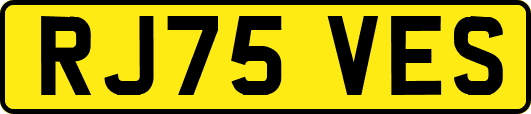 RJ75VES