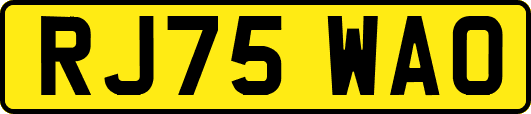 RJ75WAO