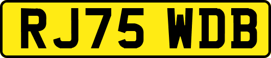RJ75WDB