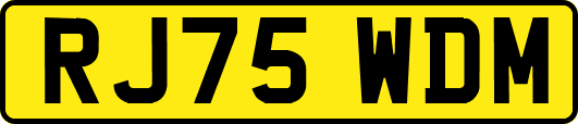 RJ75WDM