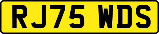 RJ75WDS