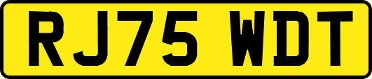 RJ75WDT