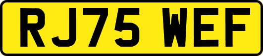 RJ75WEF