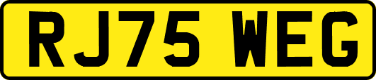 RJ75WEG