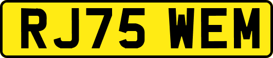RJ75WEM