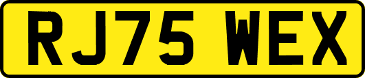 RJ75WEX