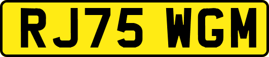 RJ75WGM