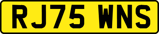 RJ75WNS