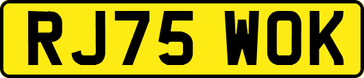 RJ75WOK