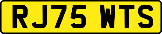 RJ75WTS