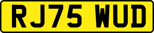 RJ75WUD