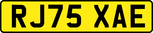 RJ75XAE