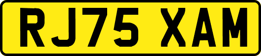 RJ75XAM