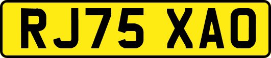 RJ75XAO