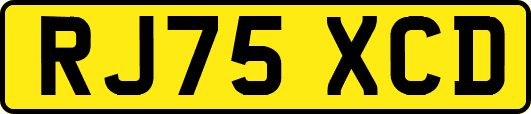 RJ75XCD