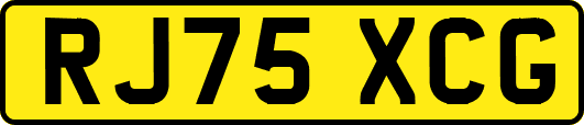 RJ75XCG