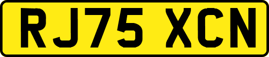 RJ75XCN