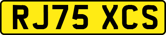 RJ75XCS