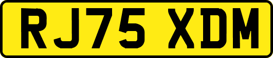 RJ75XDM