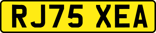 RJ75XEA
