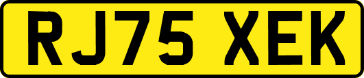 RJ75XEK