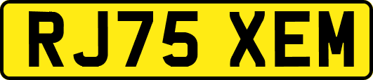 RJ75XEM