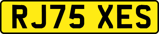 RJ75XES