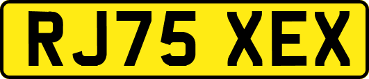 RJ75XEX