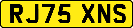 RJ75XNS
