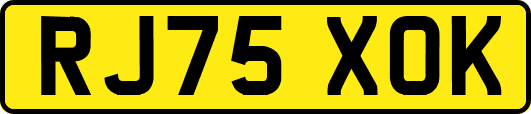 RJ75XOK