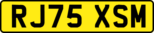 RJ75XSM