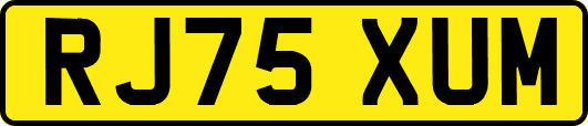 RJ75XUM