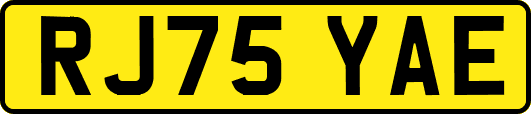 RJ75YAE