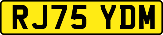 RJ75YDM