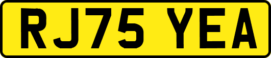 RJ75YEA