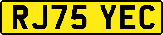 RJ75YEC